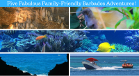 5 Family-Friendly Barbados Adventures