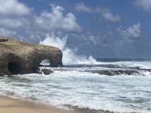 Going  Local in Barbados