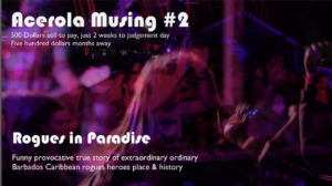 The meaning of Rogues in Paradise