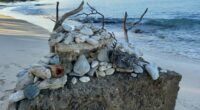 Barbados Beach Art