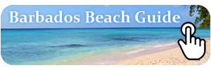 Barbados Beach Guide