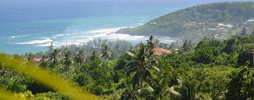 The Barbados Countryside