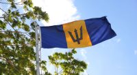 Join the Independence Celebrations in Barbados