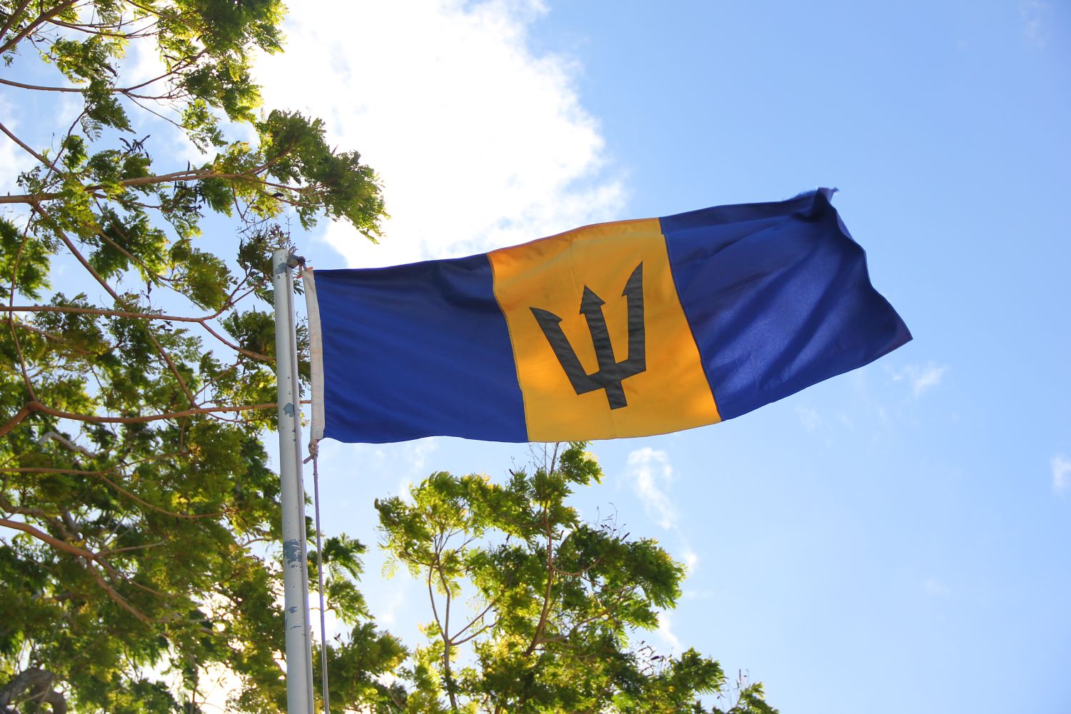 Join the Independence Celebrations in Barbados