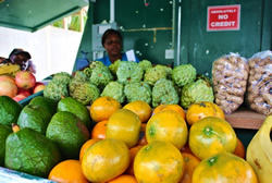 Fruits and vegetables at Six Men's Bay