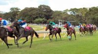 A day at the races in Barbados