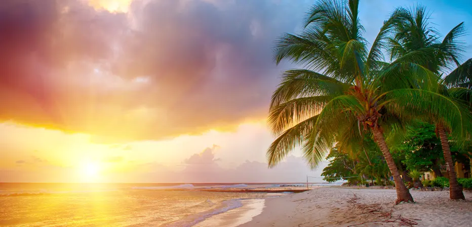 A brilliant sunset on a Barbados beach with palm trees.