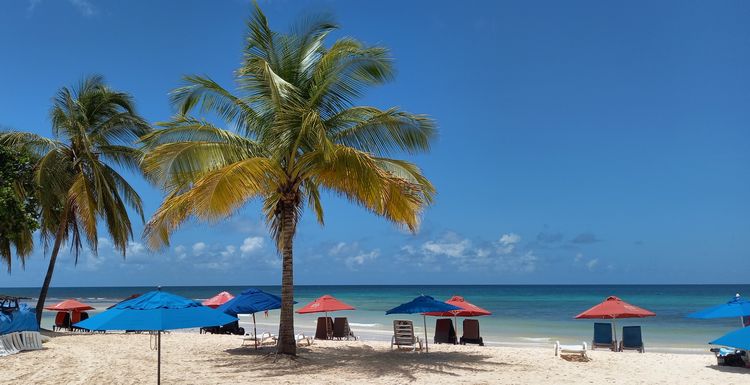 Beach loungers and umbrellas on a tropical beach