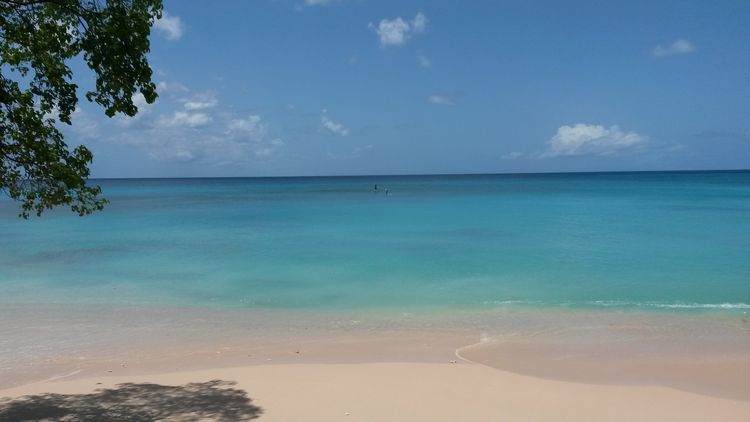 A tranquil and shaded Barbados beach