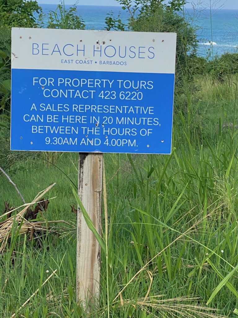 beach houses property tours