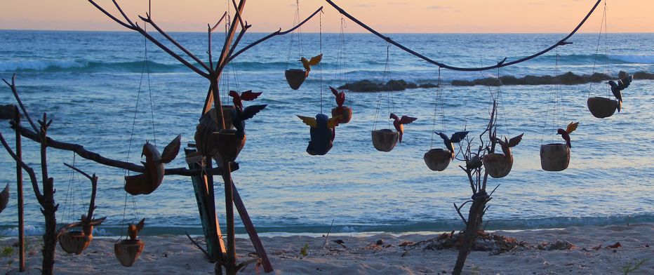 Coconut bird feeders displayed on the beach