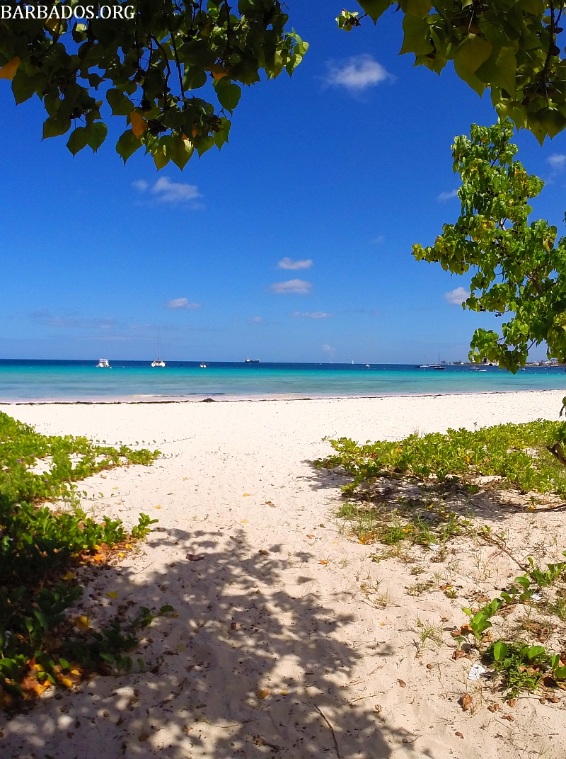 carlisle-bay-barbados