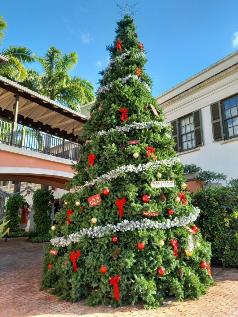 Barbados Christmas Traditions Blog