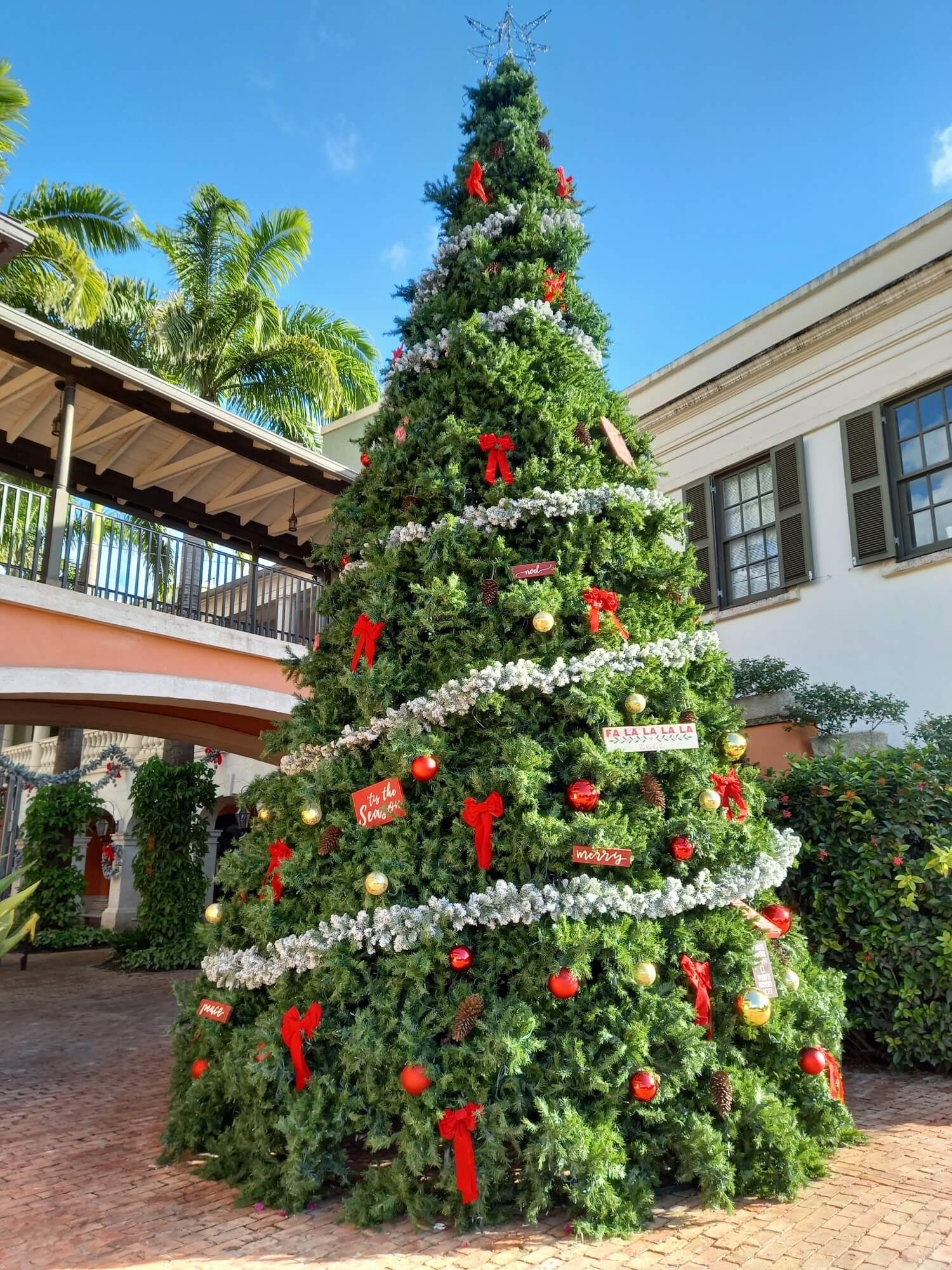 Christmas Tree in Barbados