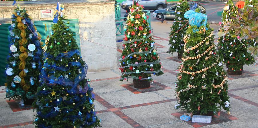 Christmas trees in Bridgetown