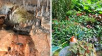 Chukka Caribbean’s Award-Winning Barbados Adventures