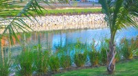 Bridgetown, Barbados: Water Features