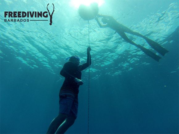 Freediving Barbados