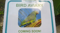 Bird Aviary