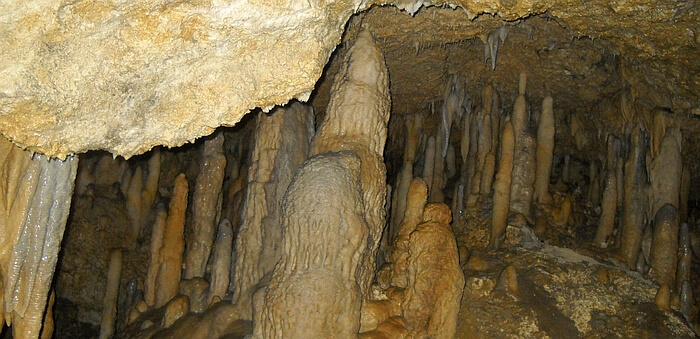 Column in Harrison's Cave