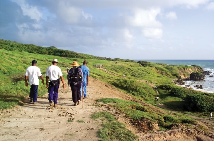 Enjoy an exciting hike through cane fields, gullies, tropical forests and coastal communities of Barbados