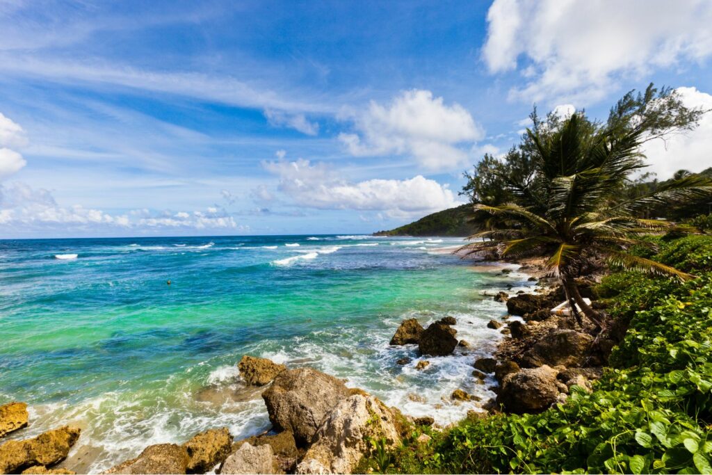 Looking south across turquoise seas  along the coastline at Martin's Bay