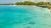 Premier Caribbean Hospitality Events Head To Barbados!