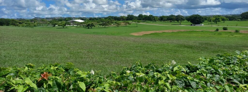 Looking across the vast National Botanical Gardens in Barbados