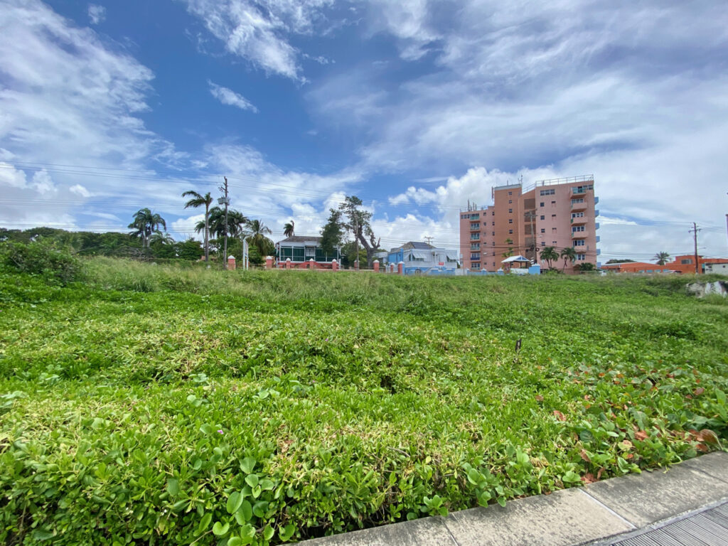 land for development - some major hotel may build right here - its 3 plots of land waiting fora buyer