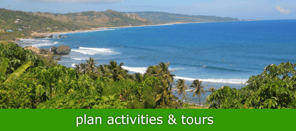 Plan activities and tours