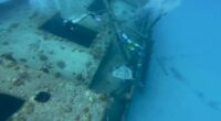 Sunken Secrets: Why Barbados’ Shipwrecks Belong on Your Bucket List