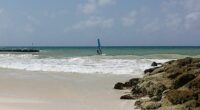 Wind, Waves & Pure Adrenaline on Barbados’ South Coast