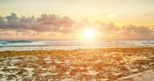 Tropical sunset on a tranquil Barbados beach