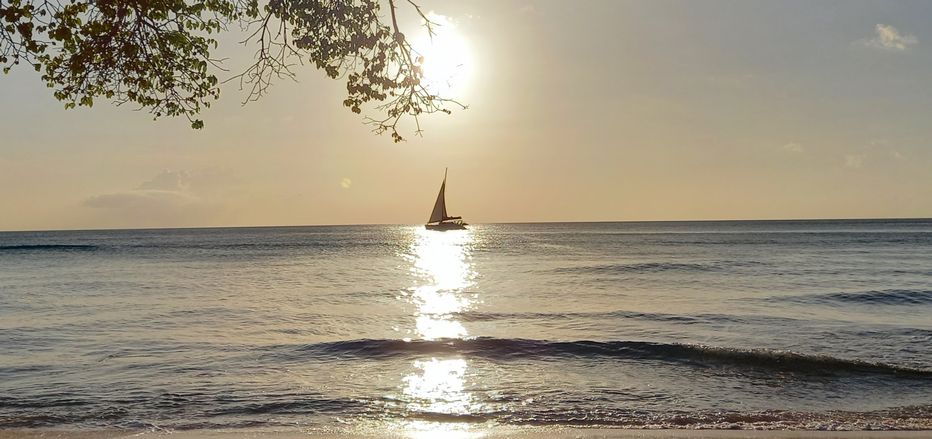 Sunset view from the beach in Barbados, with a catamaran sailing by