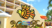 Yellow Bird Hotel Named Thrice in Tripadvisor’s Travelers’ Choice Awards!