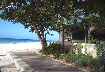 almond trees on the boardwalk