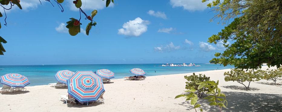 Tranquil Barbados beach with colorful umbrellas and turquoise waters
