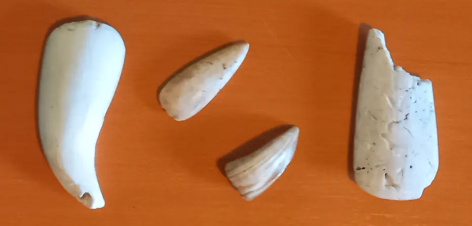 A selection of Amerindian artefacts