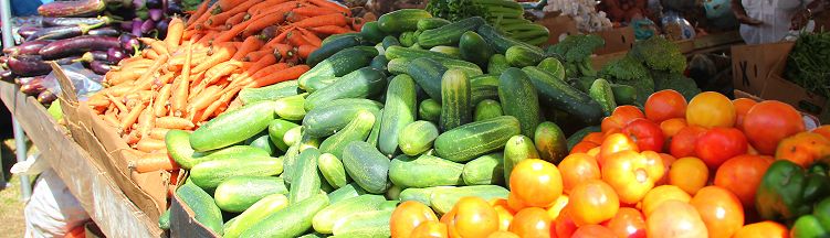 Crops on display at Agrofest