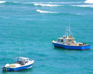 Barbados fishing boats