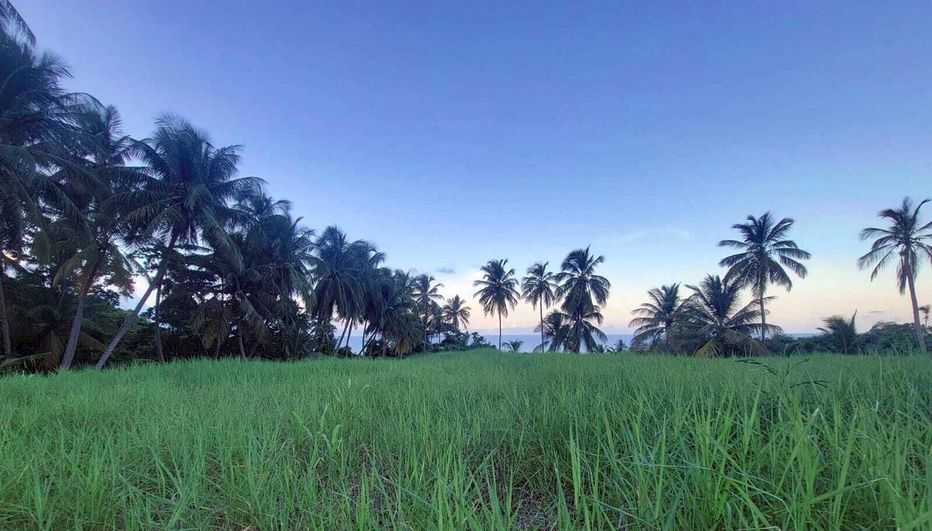 Camping Barbados camp site with incredible view