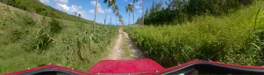🚙 ATV Tours