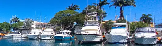 🛥️ Private Boat Charters