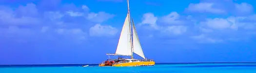 ⛵ Catamaran Cruises