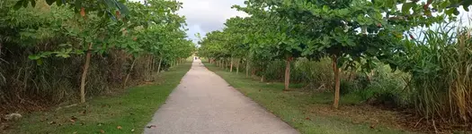 Trailway