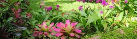 Home & Garden Tours