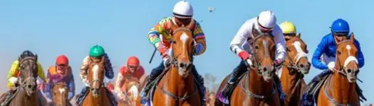 🏇🏽 Horse Racing