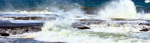 Watch the Blowholes