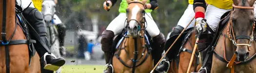 🐴 Polo