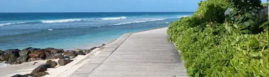 🚶🏽‍➡️ Walks & Runs